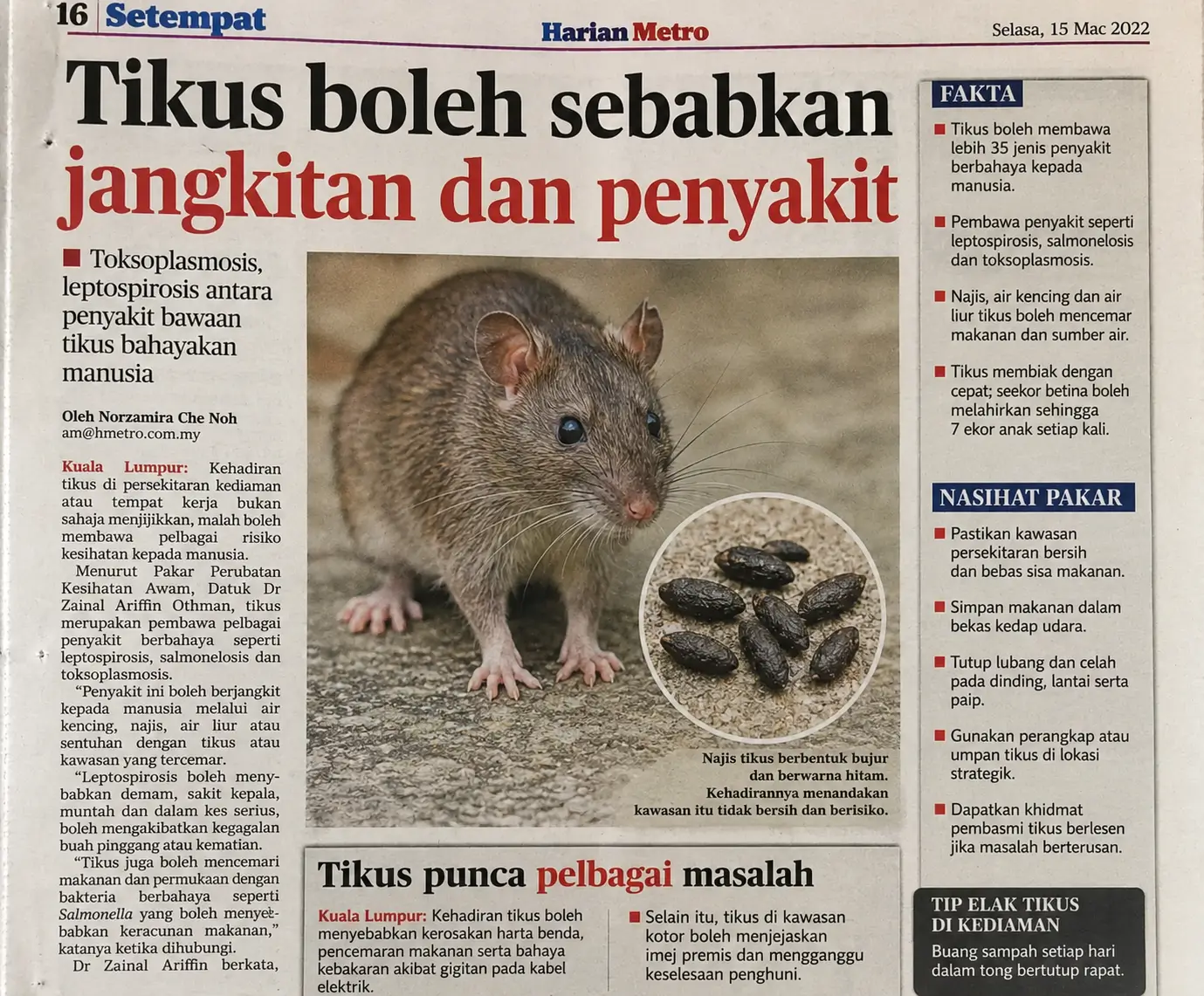 Masalah tikus di rumah