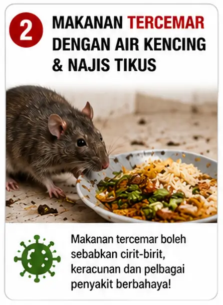 Masalah tikus 2