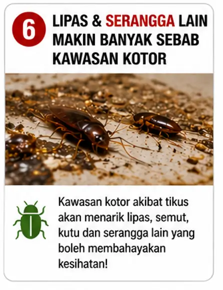 Masalah tikus 6